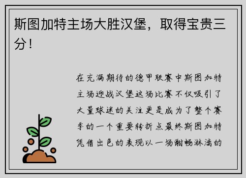 斯图加特主场大胜汉堡，取得宝贵三分！