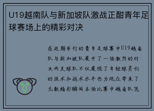 U19越南队与新加坡队激战正酣青年足球赛场上的精彩对决