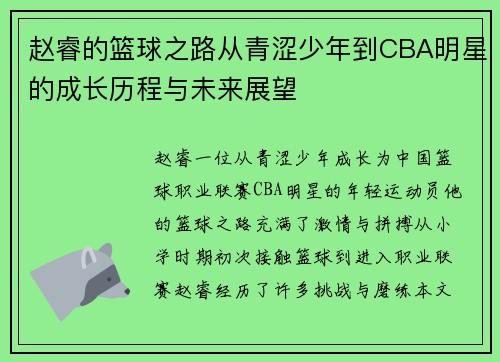 赵睿的篮球之路从青涩少年到CBA明星的成长历程与未来展望