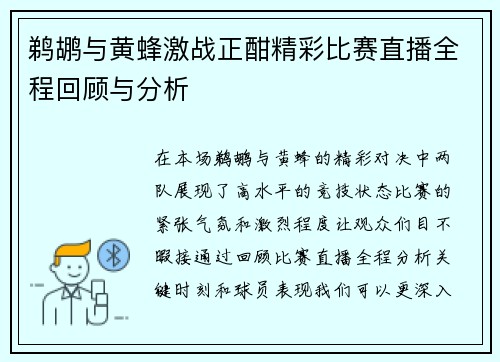 鹈鹕与黄蜂激战正酣精彩比赛直播全程回顾与分析