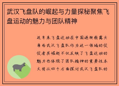 武汉飞盘队的崛起与力量探秘聚焦飞盘运动的魅力与团队精神